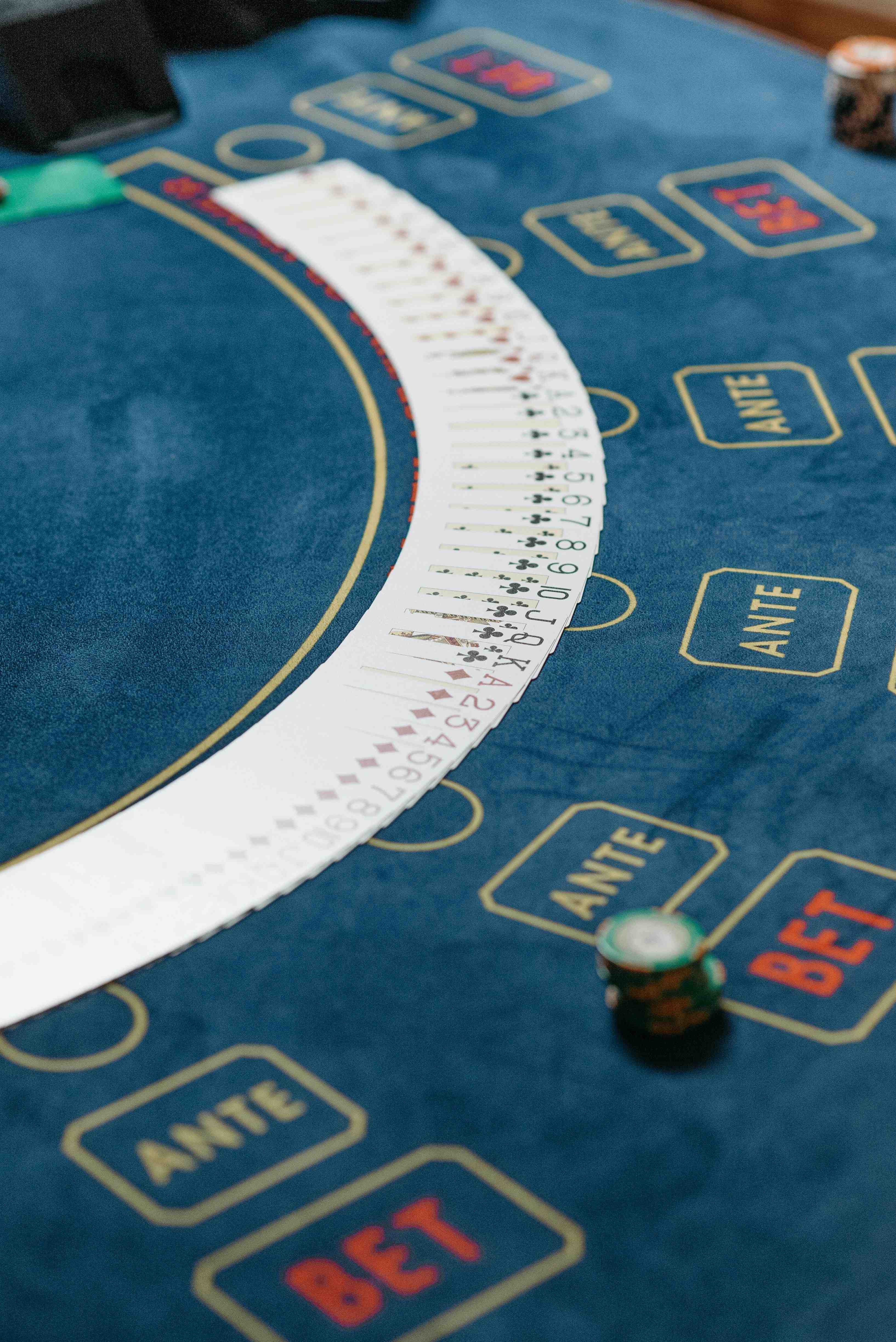 pug555